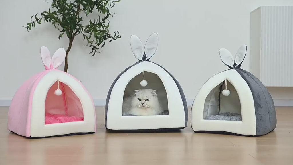 Maison pour Chat & Petit Chien