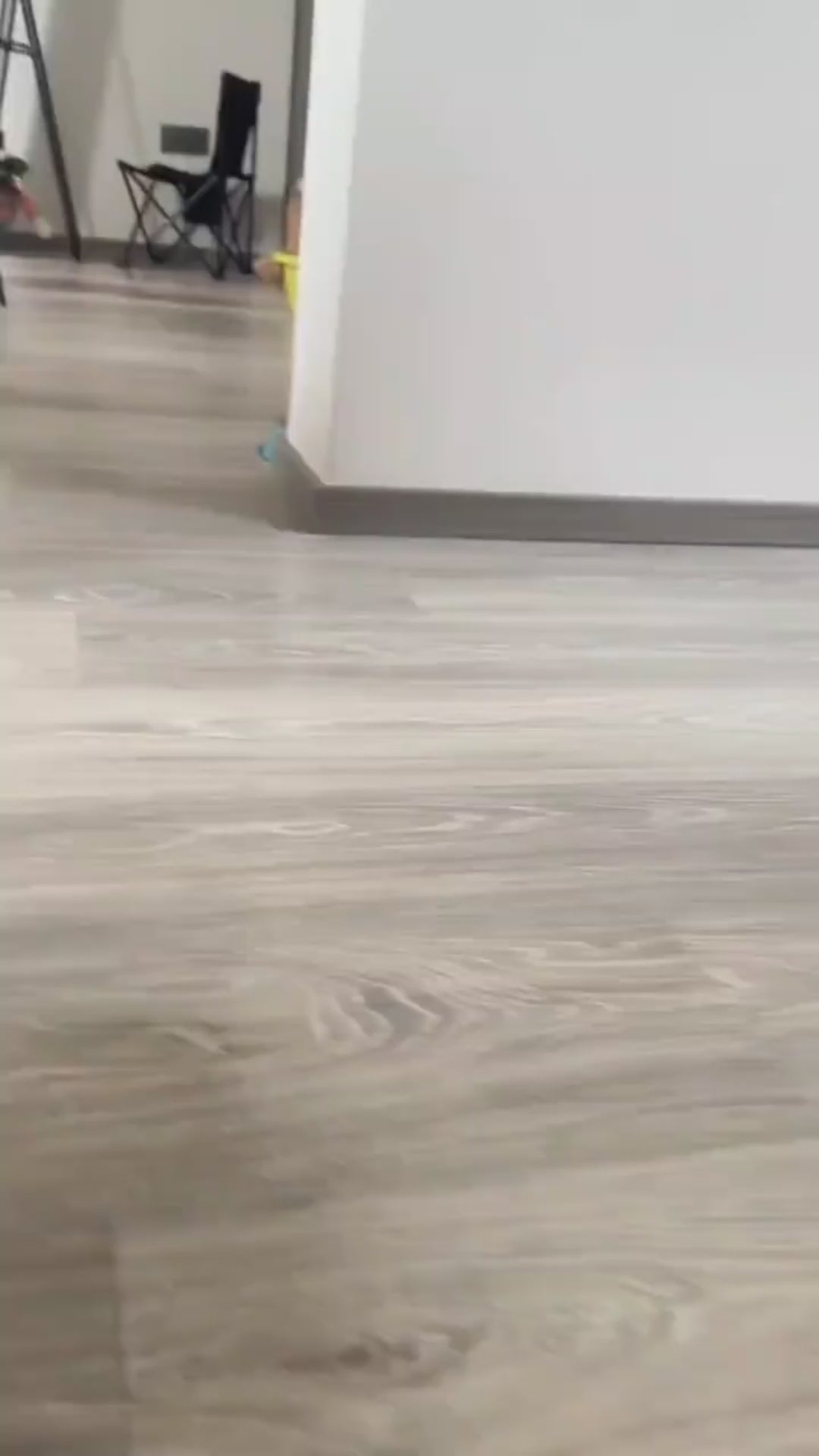 Déguisement pour Chien